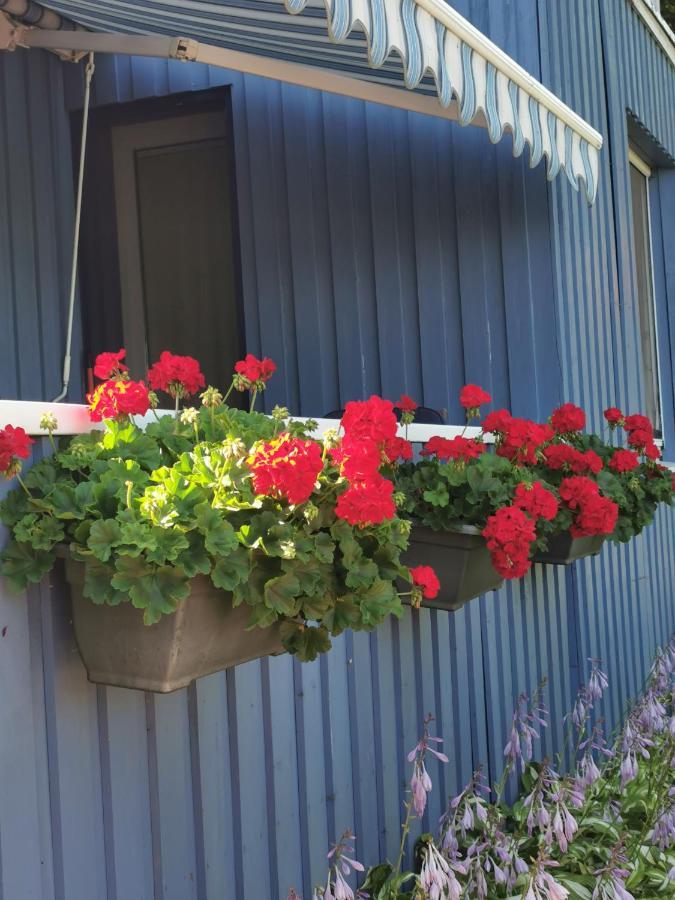 Apartamento Kambariu Nuoma Ant Mariu Kranto Juodkrantė Exterior foto